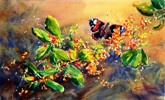 Coprosma Berries and Red Admiral Butterfly by Sue Graham